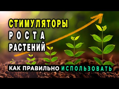 Видео: Стимуляторы роста растений РАДИФАРМ, ВИВА, КВИК ЛИНК, МЕГАФОЛ. Как применять. Ответы на вопросы