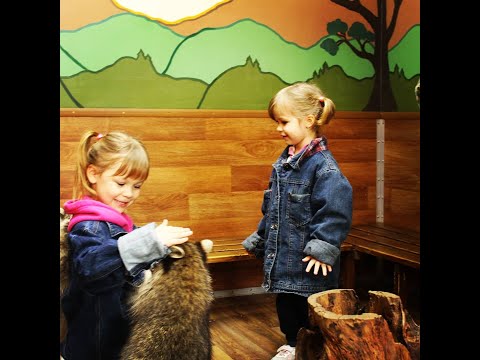 Видео: ЕНОТО🦝 ДРОМ🦝 в Ялте🌴Енот полоскун🦝Крым для детей👣Констанция и Миледи принимают гостей👋