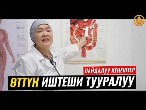 Видео: ӨТТҮН ИШТЕШИ ТУУРАЛУУ. ВРАЧ-ТЕРАПЕВТ ГҮЛСАНА БАПАЕВА