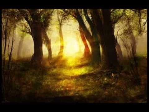 Видео: Йовин   "Дорожная"