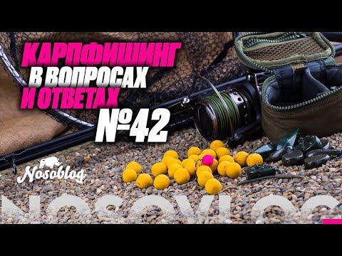 Видео: Карпфишинг в вопросах и ответах #42, Колесников А.