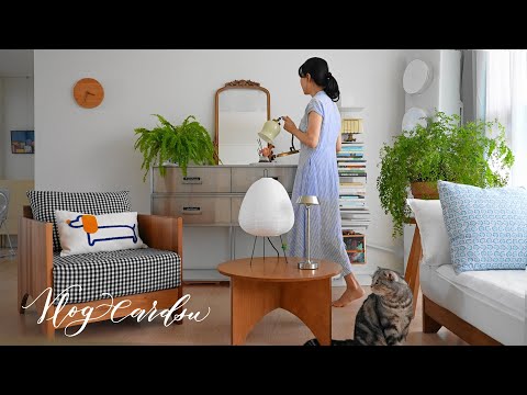 Видео: Когда меняется погода, меняться должны и мы – Советы по летнему образу жизни и освещению