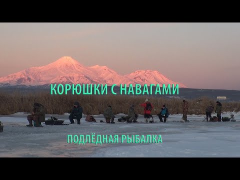 Видео: КОРЮШКИ С НАВАГАМИ  ПОДЛЁДНАЯ РЫБАЛКА