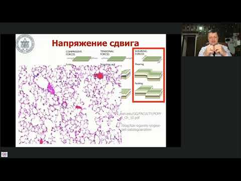 Видео: Параметры дыхательного цикла Лебединский К.М.