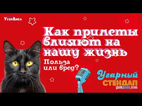 Видео: Как приметы влияют на нашу жизнь Польза или вред? | Угарный стендап №3
