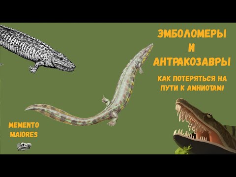 Видео: Эмболомеры и антракозавры. Как заблудиться по пути к амниотам!
