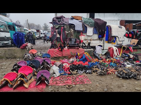 Видео: АТ ЖАБДЫКТАРЫ| ЭЭР | ЖҮГӨН | ҮЗӨҢГҮ |  КАМЧЫ #байтв