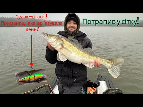 Видео: Перші судаки 2025 року. Судак-Гігант.Потрапив в сітку.Приманка, яка врятувала день!