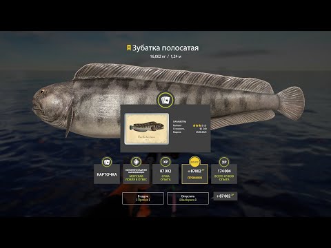 Видео: НА МОРЕ ЗА ФАРМОМ и ЗА РАЗДАЧЕЙ НА ЯМУ И НИЖНЕЮ ТУНГУСКУ   в РР 4