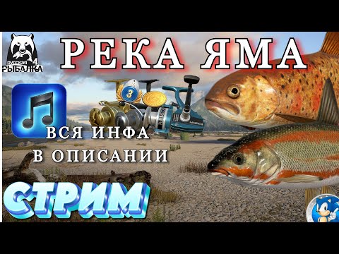 Видео: 🌟РЕКА ЯМА🌟Русская Рыбалка 4(РР4)🌟