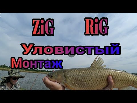 Видео: ZIG-RIG Уловистый Бюджетный Монтаж снасти Летом