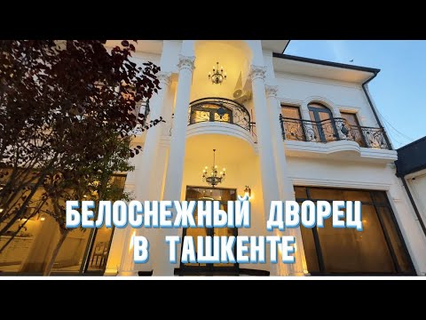 Видео: БЕЛОСНЕЖНЫЙ КРАСАВЕЦ В ТАШКЕНТЕ 
