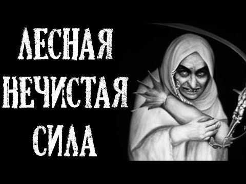 Видео: Лесная Нечистая Сила. Истории про Лес (3в1)