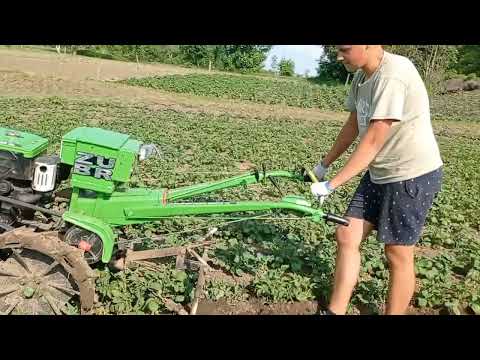 Видео: Підгортання картоплі мотоблоком.