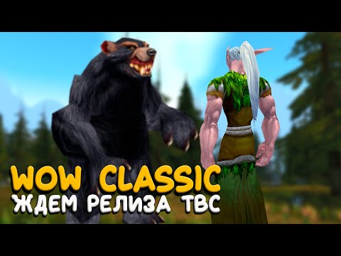 Видео: World of Warcraft Classic - Осталось немного...
