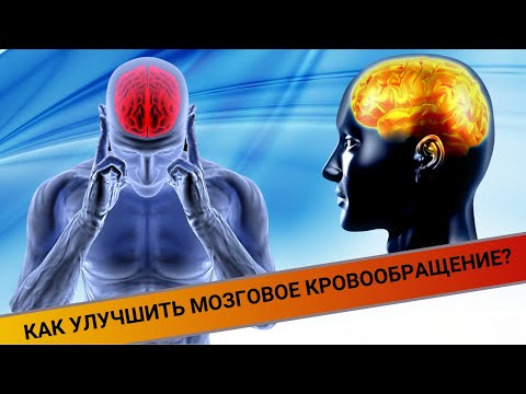Видео: КАК УЛУЧШИТЬ МОЗГОВОЕ КРОВООБРАЩЕНИЕ?