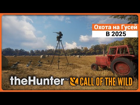 Видео: охота на гусей в 2025 - theHunter Call of the Wild