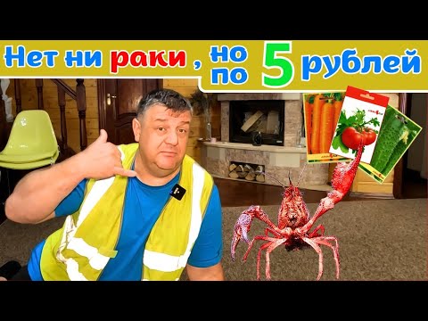 Видео: Необычный кролик: вдохновение и дружба!