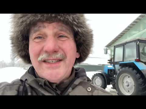 Видео: Молочка: коровник, доильный зал, корма - сколько стоит?