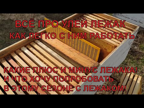 Видео: УЛЕЙ ЛЕЖАК КЛАССНЫЙ УЛЕЙ ВСЁ ПРО НЕГО лучший улей для стационара КАКИЕ ПЛАНЫ НА СЕЗОН✅☝️👍