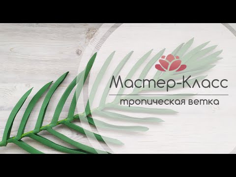 Видео: БЕСПЛАТНЫЙ МК БОЛЬШИЕ ТРОПИЧЕСКИЕ ЦВЕТЫ урок 3 ( ЛИСТ ПАЛЬМЫ ИЗ ФОАМИРАНА )