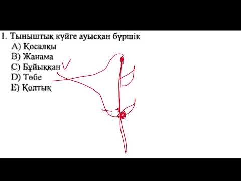Видео: Прямая трансляция пользователя Биология iStudy