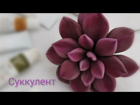 Видео: Суккулент из холодного фарфора