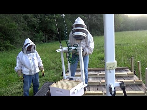 Видео: Это меняет всё!