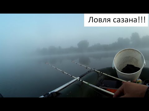 Видео: Чем не Ахтуба! Супер рыбалка! Река матросовка Славский район поселок Заповедное Калининградской обл