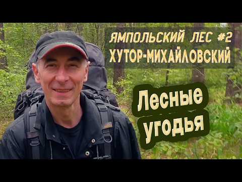 Видео: ⛺ Ямпольский лес #2. Город Хутор-Михайловский. Лесные угодья