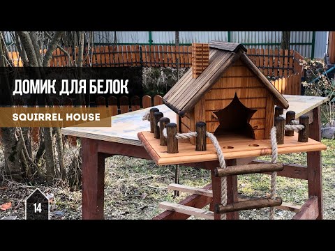 Видео: Домик для белок / Squirrel house
