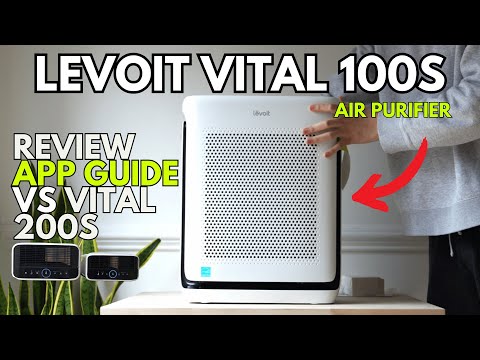 Видео: Levoit Vital 100S — лучший умный очиститель воздуха для небольших помещений 2023 года