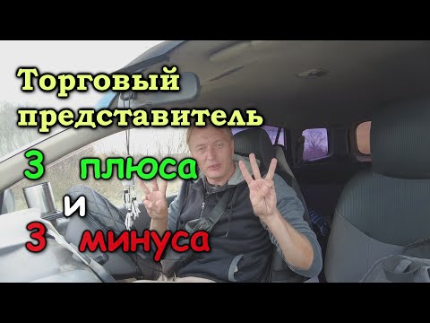 Видео: ПЛЮСЫ и МИНУСЫ работы ТОРГОВЫЙ ПРЕДСТАВИТЕЛЬ