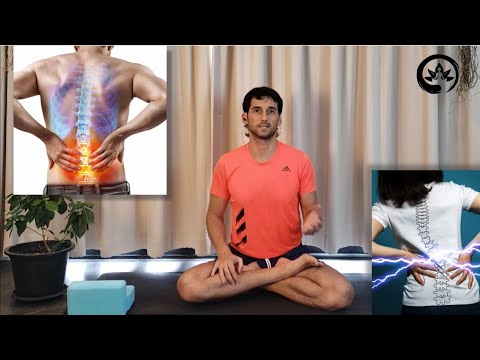 Видео: Как восстановить поясницу? Легкая йога для спины 30 минут | Йога Хаб Клуб