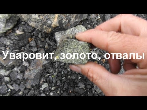 Видео: ООО "Золото Пестеря"