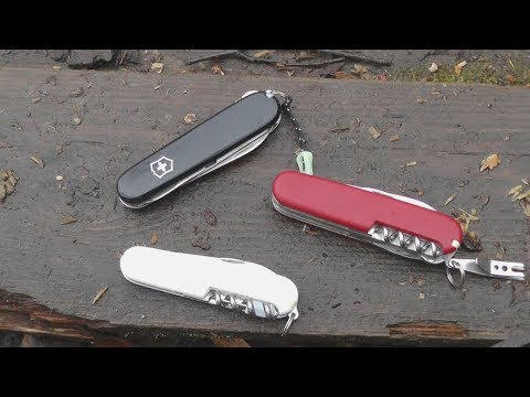 Видео: Victorinox Compact, Waiter... выбор викса для города и edc