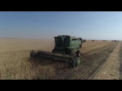 Видео: Егін шаруашылығына маңызды реформа жасалды
