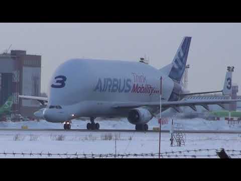 Видео: Белуга рулит по 25 ВПП. Новосибирск .23.12.2021