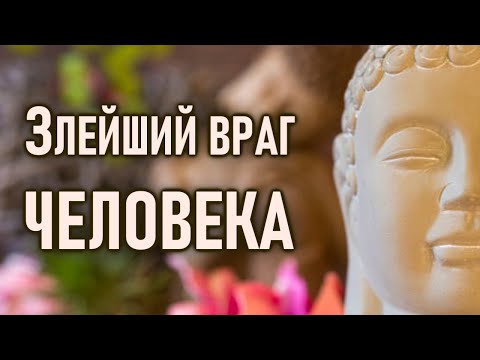 Видео: Ум - это злейший враг человека.