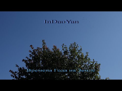 Видео: InDaoYan - Времена Года на Земле