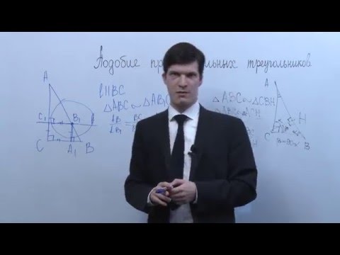 Видео: Подобие прямоугольных треугольников и его применение