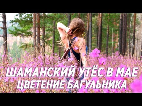 Видео: Цветущий Шаманский утёс. 33 богатыря. Весна. село Шаманка.