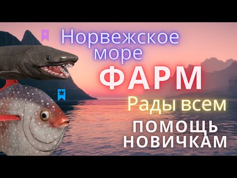 Видео: 🐟СТРИМ РР4 🔴 | 📣🐙Норвежское море ТРОЛЛИНГ | 🐠 Bulochka97