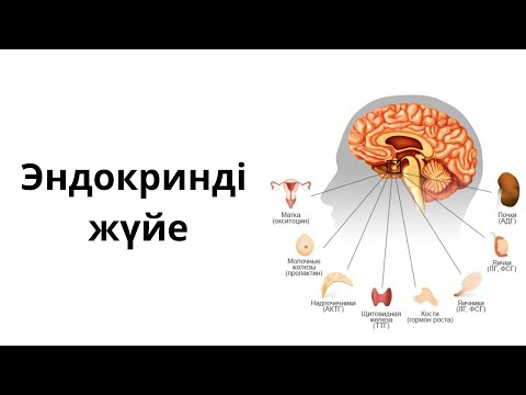 Видео: Эндокринді жүйе. Эндокринді жүйе физиологиясы.Ішкі секреция бездері.1-бөлім