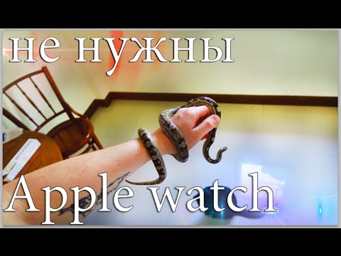 Видео: Apple watch не нужны - ВлогоДекабрь