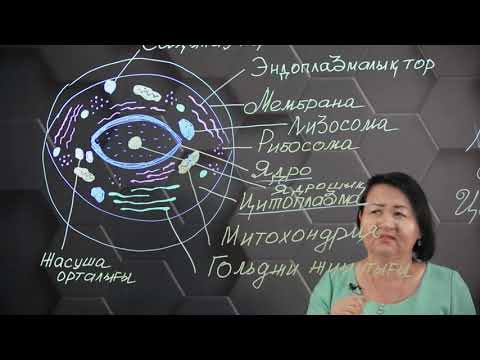 Видео: Жасушалық құрылымдар. 1 бөлім. 9 сынып.