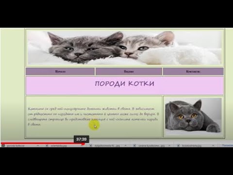 Видео: Създаване на сайт с помощта само на HTML. Обобщение.