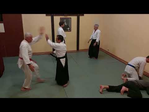 Видео: Айкидо (иккё)