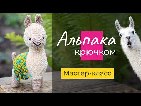 Видео: Альпака Шарлотта [крючком]. Мастер-класс. 1 часть: вязание ножек, головы и туловища.