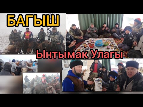 Видео: Багыш Ынтымак Улагы 🐎👍